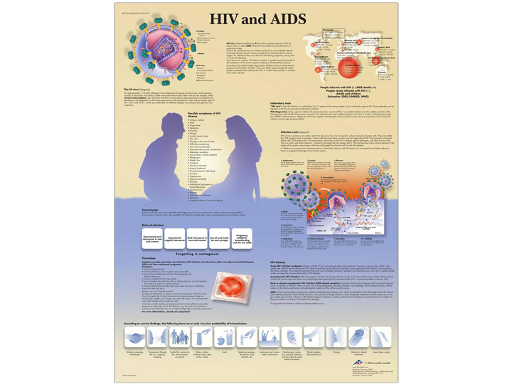 Anatomical Chart - HIV & AIDS