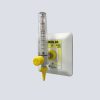 Gas Wall Plate & Regulator - Air