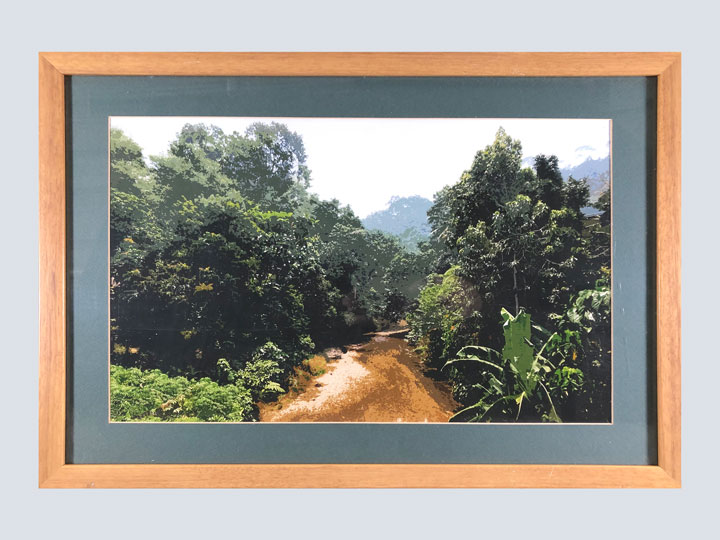 Malaysian River 4