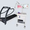 Cardiopulmonary Stress Test Machine and Treadmill (Schiller)
