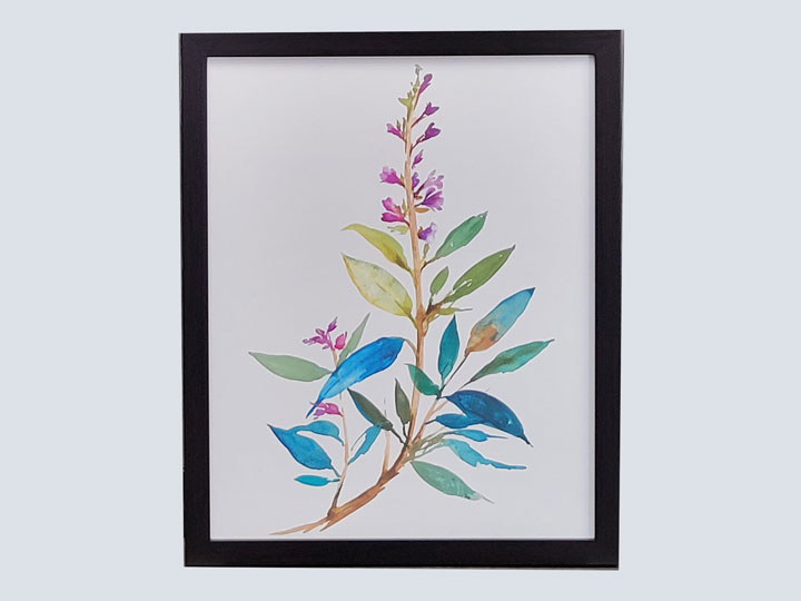 Botanical Details - BD4 - Artwork (21.5 H x 17.5 W)