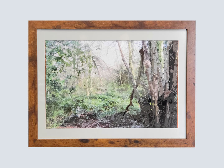 Mystic Woodlands - MW1 - Artwork (20 H x 26 W)